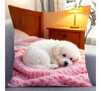 Latch Hook Kits Diy Throw Pillow Cover Sleeping White Dog Sofa Cushion Cover Cushion Cover Embroidery Craft Kit For Adults And Beginners Pattern Printed Canvas Creativity Crochet Gift 17X17I