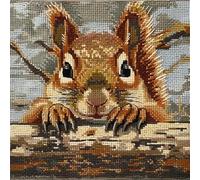 Latch Hook Kits for Adults Beginners Cushion Squirrel Latch Hook Kits for Adults Beginners 43X43cm DIY Handmade Pillowcase for Beginners Pre-Printed Pattern Needlework Crochet Craft Kits for So