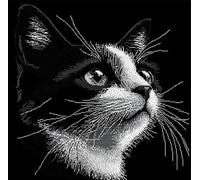 Latch Hook Kits For Adults Black And White Cats Diy Rug Hooking Pillo
