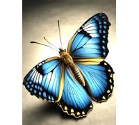 Latch Hook Kits For Adults Blue Butterfly Animal Diy Latch Hook Rug Kit For Adults Bedroom Rectangular Mat,Living Cushion Embroidery Craft Set 31x63in