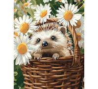 Latch Hook Kits Hedgehog Animal And Daisy Flowers Latch Hook Rug Kit Diy Cushion Making,Diy Tapestry For Home Decor Teenager And Adults Carpet Set 35x46in