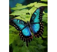 Latch Hook Kits Rugs Blue Butterfly Animal Printed Canvas Tapestry Kits Embroidery Set Diy Crochet Yarn Kit For Beginners Adults Printed Latch Hook Rugs 31x45in