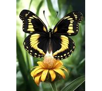 Latch Hook Kits Rugs Colorful Butterflies And Flowers Printed Canvas Tapestry Kits Embroidery Set Diy Crochet Yarn Kit For Beginners Adults Printed Latch Hook Rugs 23x35in