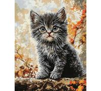 Latch Hook Rug Kit Diy Crochet Carpet For Adults Kids Beginners, Gray Kitten 55X75Cm Patterns Pre-Printed Canvas Yarn Rug Hooking Kits, Creative Craft Home Decor Ideal For Learning Rug Makin