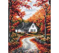 Latch Hook Rug Kit DIY Crochet Carpet for Adults Kids Beginners,The Path Leading to Home 15X20In/52X38Cm Pre-Printed Canvas Yarn Rug Hooking Kits, Creative Craft Home Decor Ideal for Learnin