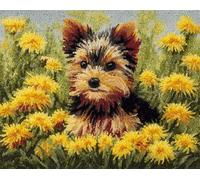 Latch Hook Rug Kit For Adults Yorkshire Terrier And Dandelion Diy Craft Rug Making Kit Set Tapestry Cushion Knitting Patterns Printed Mesh Mat Canvas Wool Yarn Fabric Decorations Home Gift 35X46In