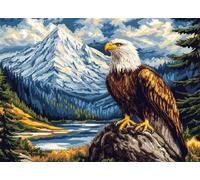 Latch Hook Rug Kits for Adult,Animal Bird Bald Eagle,DIY Rug Crochet Making Kits with Pre-Printed Canvas and Latch Hook Tool and Enough Yarn,55x75cm