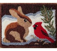 Latch Hook Rug Kits for Adults Beginners, Brown Rabbit and Red Bird 15X20In/52X38Cm Animal Pre-Printed Canvas Yarn Rug Hooking Kits, DIY Crochet Carpet Creative Craft, Ideal for Home Decor A