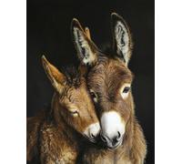 Latch Hook Rug Kits for Adults Beginners, Donkey Mother and Child 15X20In/52X38Cm Animal Pre-Printed Canvas Yarn Rug Hooking Kits, DIY Crochet Carpet Creative Craft, Ideal for Home Decor and