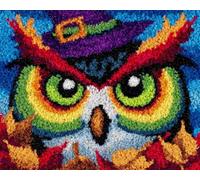 Latch Hook Rug Kits for Adults Beginners, Owl 15X20In/52X38Cm Animal Pre-Printed Canvas Yarn Rug Hooking Kits, DIY Crochet Carpet Creative Craft, Ideal for Home Decor and Fun Crafting