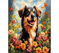 Latch Hook Rug Kits For Adults Border Collie Animal And Flowers Diy Latch Hook Kit For Adults Beginners,Cross Stitch Set Carpet Making Cushion Needlework Embroidery Craft Kits Cushion 21x29in