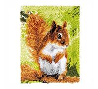 Latch Hook Rug Making Kit for Adults, 52x38cm - DIY Color Printed Squirrel Rug & Cushion Kit