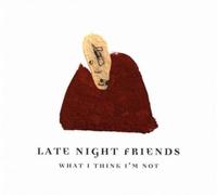 LATE NIGHT FRIENDS: WHAT I THINK IM NOT - LP vinyl BRAND NEW