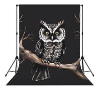 Late Night Owl Backdrop Background for Photography, 5x7ft | High Density Polyester Fabric, Foldable, Non Reflective Photo Backdrop Curtain For Photoshoot Background Screen, Easy Setup