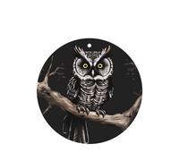 Late Night Owl Car air freshener, 4-pack, lightweight, hanging type, for car interior decoration.