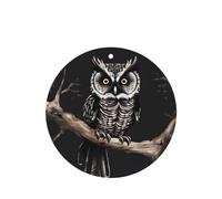 Late Night Owl Car air freshener, 4-pack, suitable for passenger compartments, trucks, and SUVs.