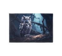 Late Night Owl Placemats 6-Piece Set - 12"x18" Hotel Banquet Table Mats, Suitable for Restaurant, Home, Party Decoration