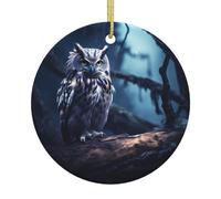 Late Night Owl Printed Ceramic Christmas Ornaments - Round. Suitable for Christmas Trees, Holiday Parties, and Home décor