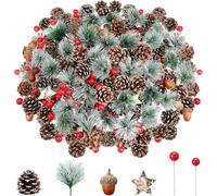 LATERN 108Pcs Christmas Artificial Pine Cone Red Berry Set, 24Pcs Pine Cones, 12Pcs Pines Branches, 12 Pcs Acorns, 12 Pcs Wooden Stars, 48Pcs Red Berries - Christmas Wreath Tree Ornament Craft Decor