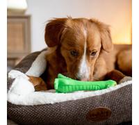 Latex figurine dog toy Nobby Pet Lulatsch Krokodil