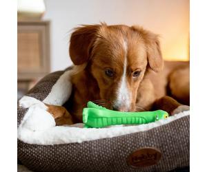 Latex figurine dog toy Nobby Pet Lulatsch Krokodil