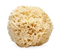 Lather Natural Sea Wool Sponge 1 oz.