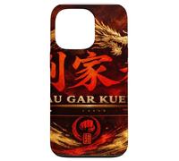 Lau Gar Hung Kuen Kung Fu Case for iPhone 13 Pro