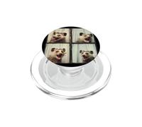 Laughing Possum Funny Animal Photo Booth PopSockets PopGrip for MagSafe