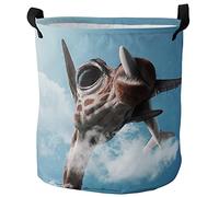 Laundry Basket Giraffe Airplane Funny Animal Clothes Organiser Personalised Collapsible Laundry Bin, For Blanket, Room, Bathroom, 60L