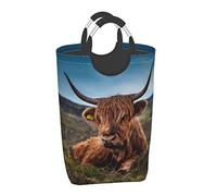 Laundry Basket Highland Cow Grass Fashion Large Capacity Laundry Hamper Bag Collapsible Organizer Bin With Handles Dirty Basket