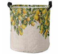 Laundry Basket Lemons Fruit,Spring Summer Tropical For 34X42CM