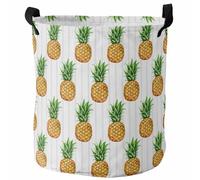 Laundry Basket Summer Pineapple,Exotic Tropical Fruit For 34X42CM