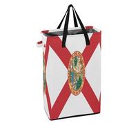 Laundry Can with Sturdy Handle Laundry Basket Foldable Boys Clothes Hamper for College Florida State Flag (usa)