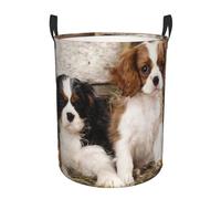 Laundry Hamper,Laundry Hamper Toy Organizer Waterproof Nursery Hamper Medium for Home,Cavalier King Charles Spaniel Small Puppies