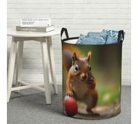 Laundry Hamper Waterproof Storage Bin Organizer with Handles Squirrel Holding Fruit Laundry Basket Collapsible Dirty Clothes Hamper Large Clothes Storage Toy Organization for Bathroom Bedroom S
