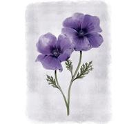 Laura Ashley Anemone Floral Print In A Black Frame - A2