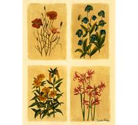 Laura Ashley Antique Flowers Print In A Black Frame - 30 X 40Cm