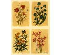 Laura Ashley Antique Flowers Print In A Black Frame - A1