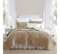 Laura Ashley Lightweight Cotton Duvet Cover Set with Matching Pillowcases, Vintage Floral Inspired Home Decor with Plain Reverse, Burnt Orange, King