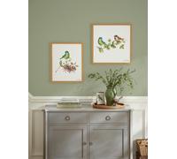 Laura Ashley Sparrow & Blue Tit Bird Print in a Wood Frame - Wood - 50x50