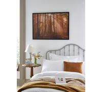 Laura Ashley Sunlit Trees Print in a Black Frame - Black - 50x70