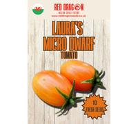 Laura's Micro Dwarf Tomato Seeds - 10 Fresh Seeds