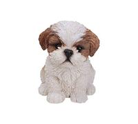Laure TERRIER Resin dog statue SHIH TZU, height 17 centimeters, for collection or decoration