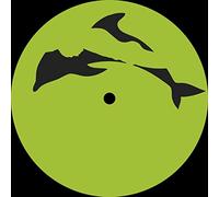 Laurel Halo - Behind The Green Door EP [VINYL]