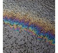 Laurel Halo - In Situ [Japan CD] PCD-18798