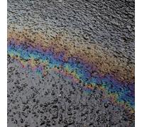 Laurel Halo - In Situ [VINYL]