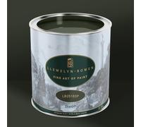 Laurence Llewelyn-Bowen Off the Wall Divot Green Paint - 2.5L