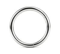 LAURITAMI Titanium Nose Ring Hoop 20G Titanium Alloy Hinged Clicker Silver-Nose Piercing Jewellery Septum Ring Helix Earring Cartilage Tragus Daith Lip Piercing Jewellery for Women Men, 6mm