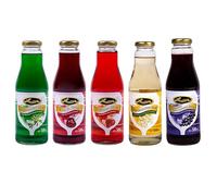 Lausitzer Syrup Mix B 6 x 500 ml