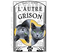 L'Autre Grison: Une histoire de chat chat-rcastique